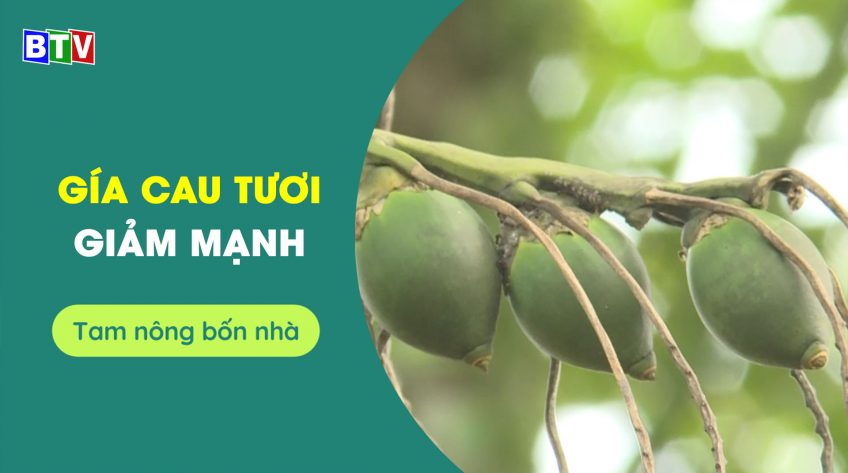 Tam nông bốn nhà | 6.10.2022