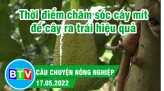 Sản xuất lúa hè thu trong điều kiện vật tư nông nghiệp, phân bón tăng cao | Câu chuyện nông nghiệp | 31/5/2022