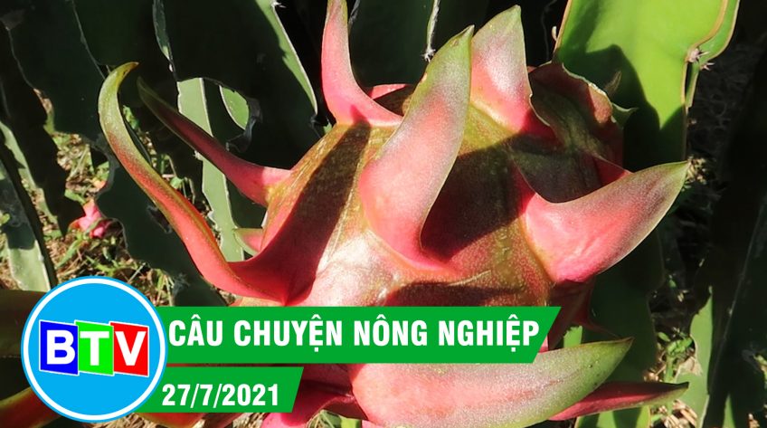 CÂU CHUYỆN NÔNG NGHIỆP | 27.7.2021