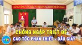 Thả cá thể đồi mồi dứa về với biển