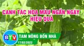 PHÁT TRIỂN CÂY TRÀ LÀ TRÊN VÙNG ĐẤT CÁT BẠC MÀU | TAM NÔNG BỐN NHÀ | 03.03.2022