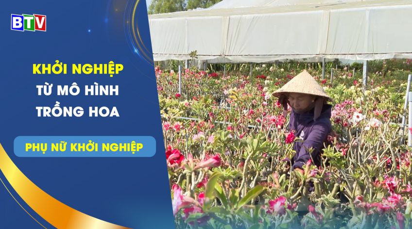 Khởi nghiệp từ mô hình trồng hoa sứ | Phụ nữ khởi nghiệp 24.2.2023