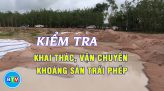 Thả cá thể đồi mồi dứa về với biển