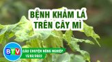 Mô hình VAC mang lại hiệu quả kinh tế cao | Câu chuyện nông nghiệp 29.03.2022