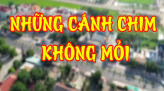 Phát sóng 20g35 Mùng 3 Tết