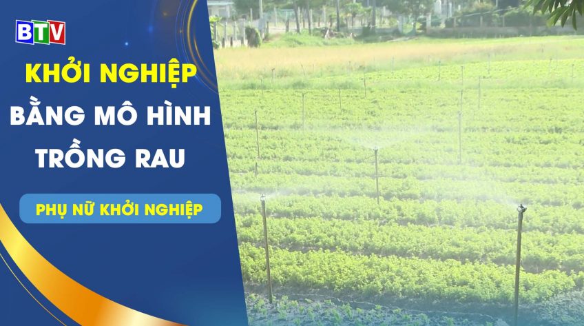 Khởi nghiệp bằng mô hình trồng rau | Phụ nữ khởi nghiệp 9.9.2022