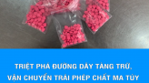 Phan Thiết không tổ chức Lễ hội Trung thu năm 2020