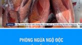 Tăng cường xử lý khai thác khoáng sản trái phép tại Sông Bình  - Bắc Bình