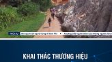 Dừng tiếp nhận yêu cầu về đấu nối điện mặt trời mái nhà