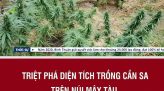 Đã tìm được 11 thuyền viên tàu XinHong bị nạn trên biển