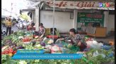 Nông vụ Bình Thuận 01.7.2020