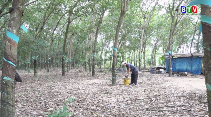 Tài nguyên môi trường 16-8-2020