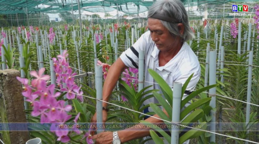 Bình thuận nông thôn mới 5-9-2019