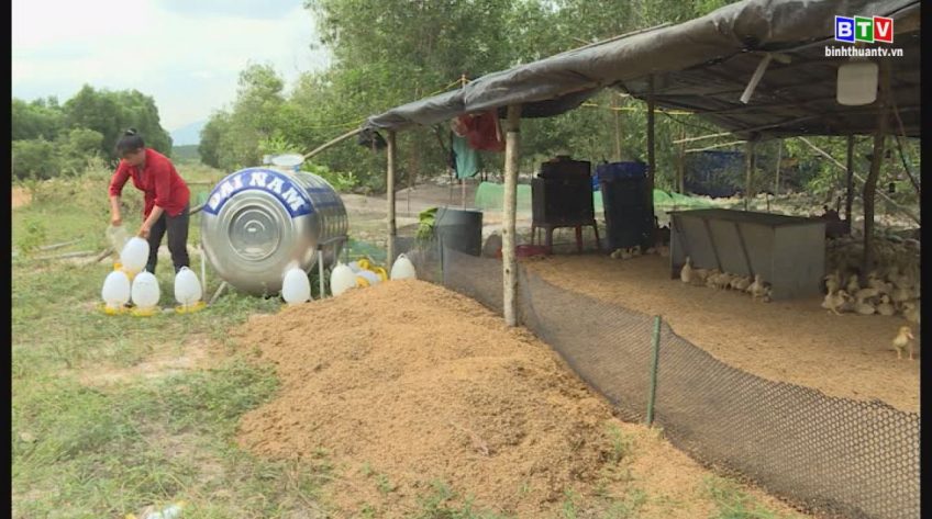 Phụ nữ khởi nghiệp 17-9-2019