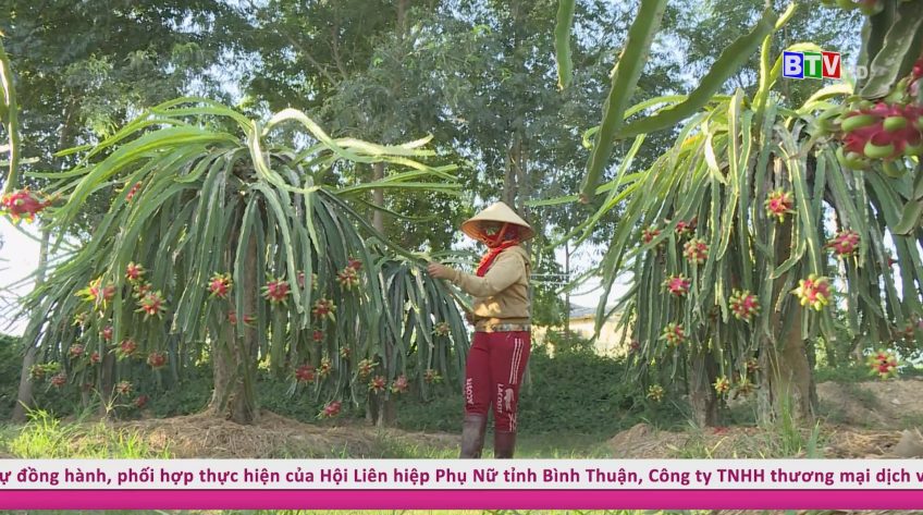 Phụ nữ khởi nghiệp 4-11-2021