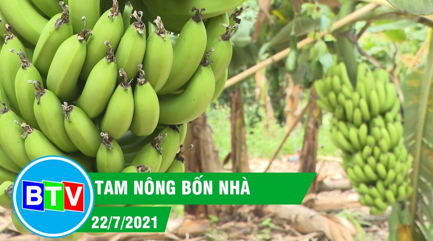 TAM NÔNG BỐN NHÀ | 22.7.2021