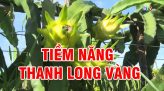 Cải cách hành chánh 13-1-2022