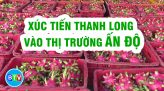 Sản lượng điện năm 2021 của Vĩnh Tân 1 đạt trên 6.6 tỷ KWh | Bình Thuận điểm hẹn  xanh | 30.01.2022