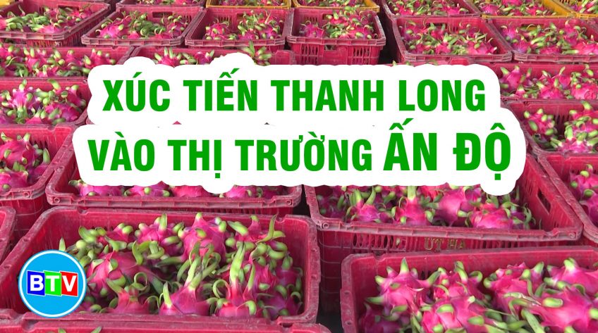 XÚC TIẾN THANH LONG VÀO THỊ TRƯỜNG ẤN ĐỘ | BÌNH THUẬN NÔNG THÔN MỚI 23.02.2022