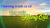 Phát sóng 11g50 Mùng 2 Tết