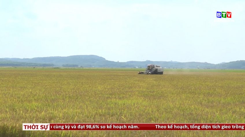 Thời sự tối 4.12.2019