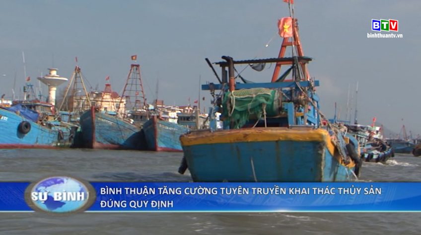 Bình Thuận tăng cường tuyên truyền khai thác thủy sản đúng quy định