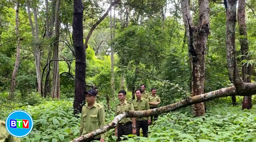 Kiểm tra, khảo sát hiện trạng rừng trong dự án hồ chứa nước Ka Pét