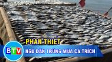 Tánh Linh tổ chức Ngày hội giao lưu văn hóa các dân tộc