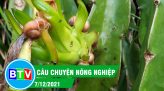 Giữ vững và phát triển thương hiệu gạo Tánh Linh |Câu chuyện nông nghiệp 18.01.2022