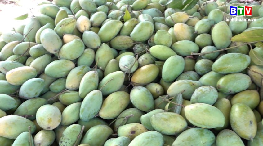 Câu chuyện nông nghiệp 28.4.2020