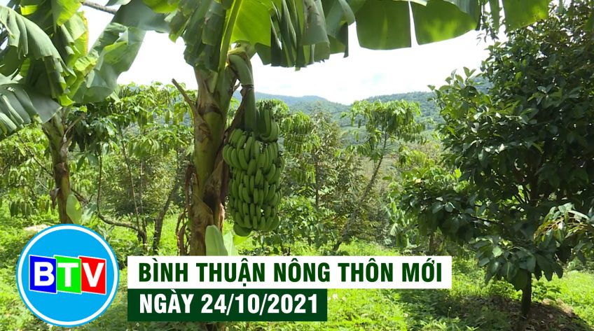 Bình Thuận Nông thôn mới | 24.10.2021