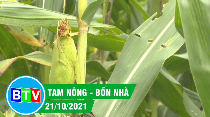 Tam nông - Bốn nhà | 21.10.2021