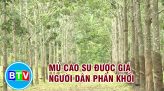 BẮT TẠM GIAM CÁN BỘ ĐỊA CHÍNH XÃ MĂNG TỐ, HUYỆN TÁNH LINH