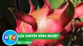 Giữ vững và phát triển thương hiệu gạo Tánh Linh |Câu chuyện nông nghiệp 18.01.2022