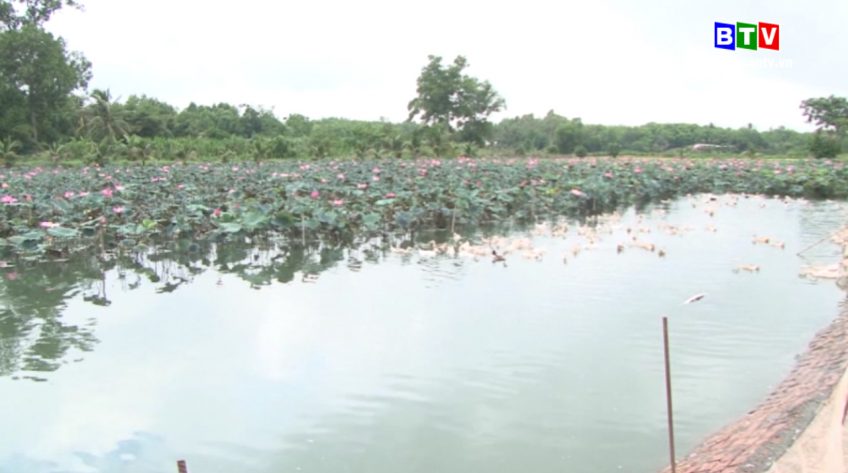 Bình Thuận ngày mới 11.7.2019