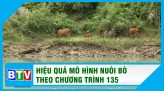 Bình Thuận: Xuất khẩu 11 tháng năm 2021 ước đạt hơn 525 triệu USD