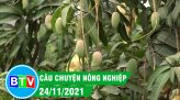 Giữ vững và phát triển thương hiệu gạo Tánh Linh |Câu chuyện nông nghiệp 18.01.2022