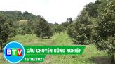 Câu chuyện nông nghiệp | 2.11.2021