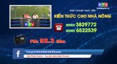 Tam nông bốn nhà 25.8.2019