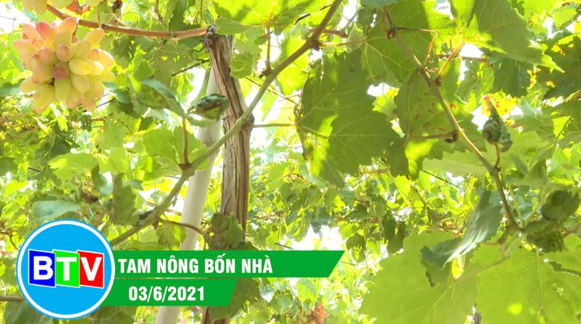 Tam nông bốn nhà | 3.6.2021