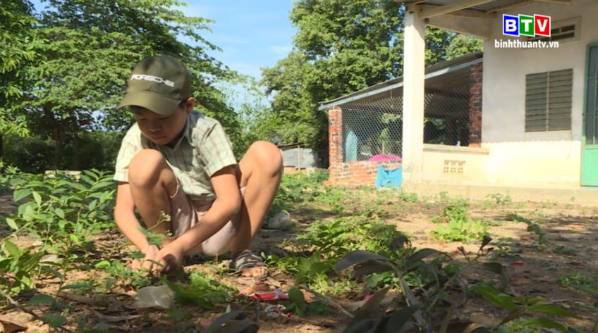 Tiếp bước đến trường 31.7.2019