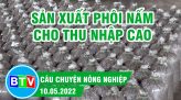 Sản xuất lúa hè thu trong điều kiện vật tư nông nghiệp, phân bón tăng cao | Câu chuyện nông nghiệp | 31/5/2022