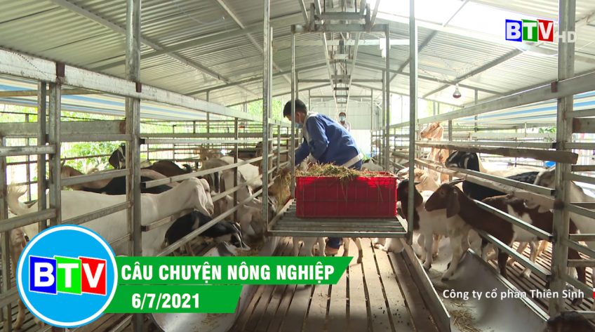 Câu chuyện nông nghiệp | 6.7.2021