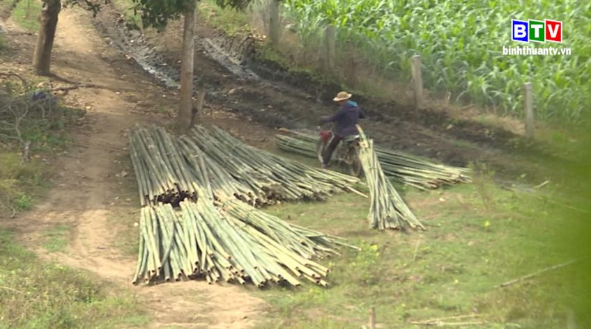 Tánh Linh: Kiểm tra, xử lý cơ sở thu mua lâm sản trái phép