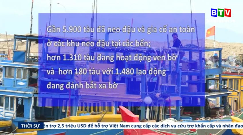 Ứng Phó với bão số 12