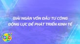 Gỡ khó tiêu thụ nhãn xuồng Thắng Hải mùa dịch | Mỗi xã một sản phẩm | 29.01.2022