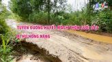 Tất cả tàu, thuyền tại Phan Thiết được hoạt động trở lại