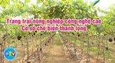 Linh hoạt xử lý khi phát hiện có F0 trong lớp học