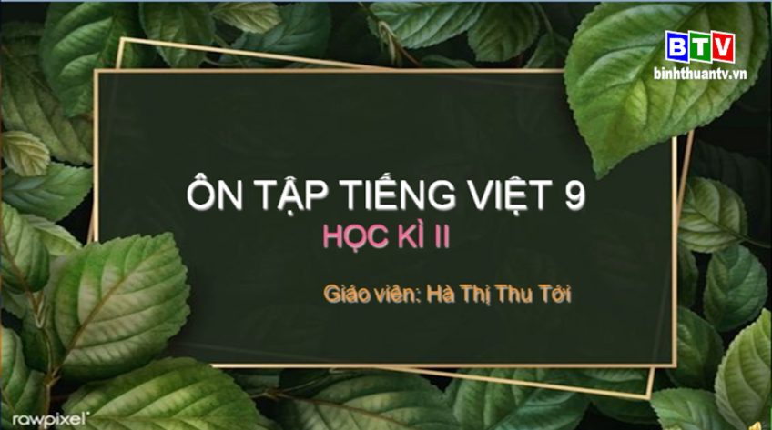 Môn ngữ Văn lớp 9 - Ôn tập tiếng Việt (học kỳ II)