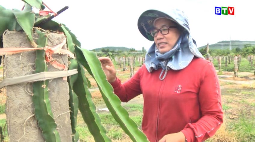 Phụ nữ khởi nghiệp 6.8.2019